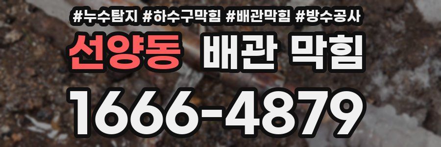 선양동 배관 막힘