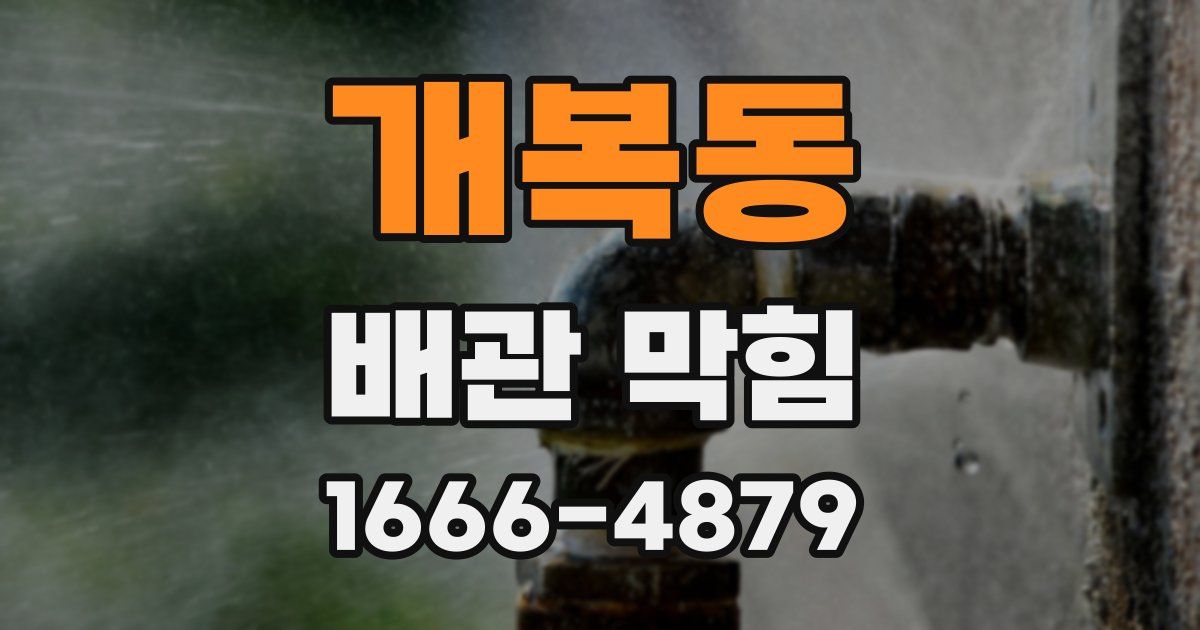 개복동 배관 막힘