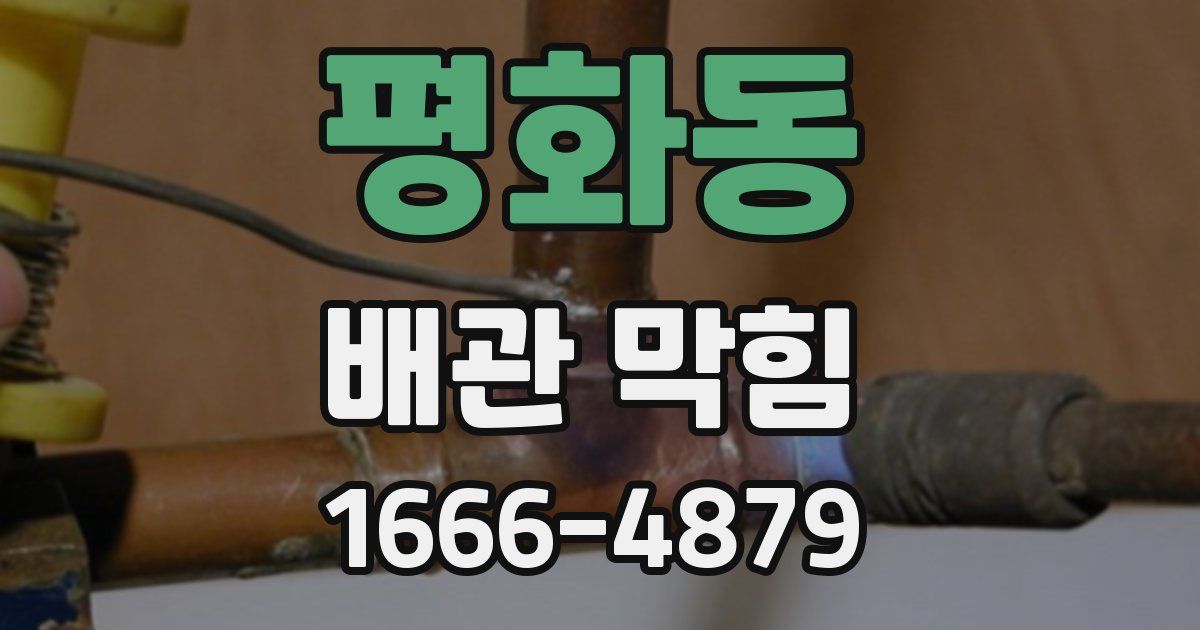 평화동 배관 막힘