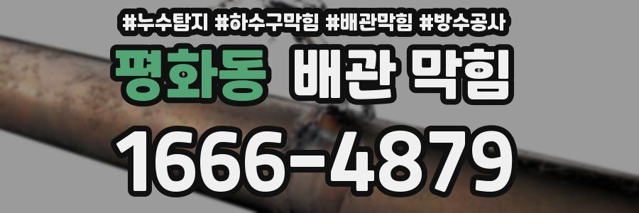 평화동 배관 막힘