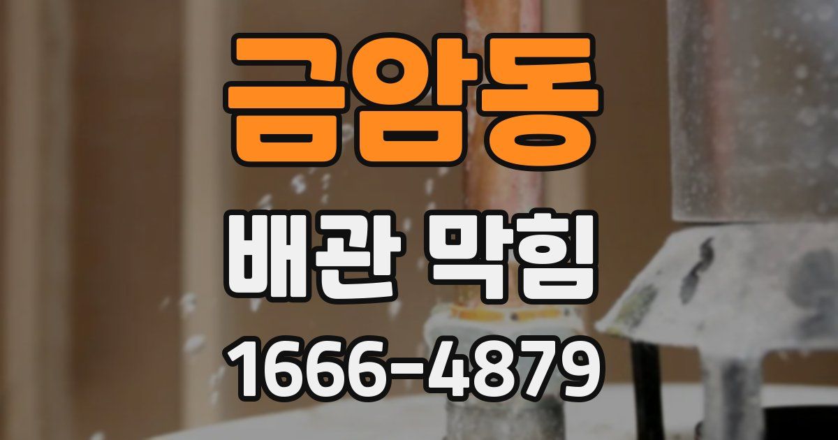 금암동 배관 막힘