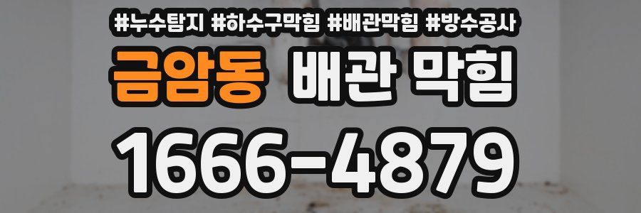 금암동 배관 막힘