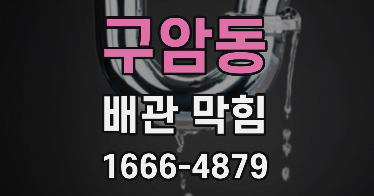 구암동 배관 막힘