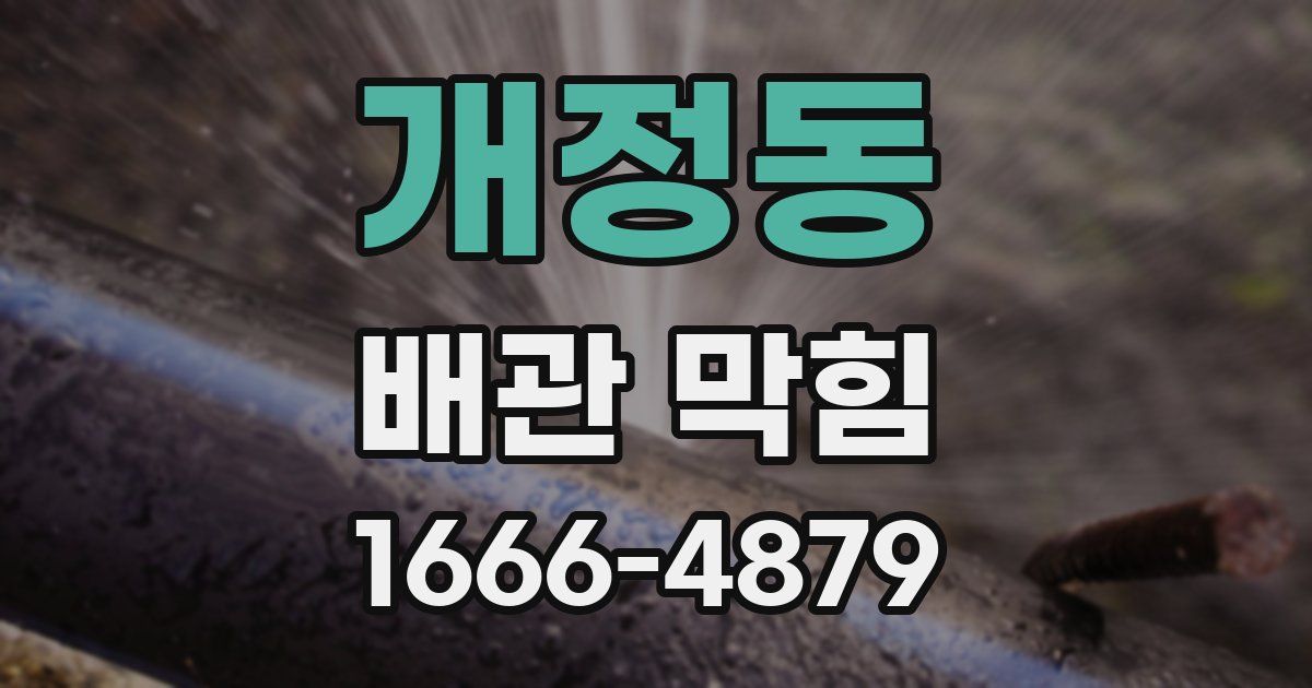 개정동 배관 막힘