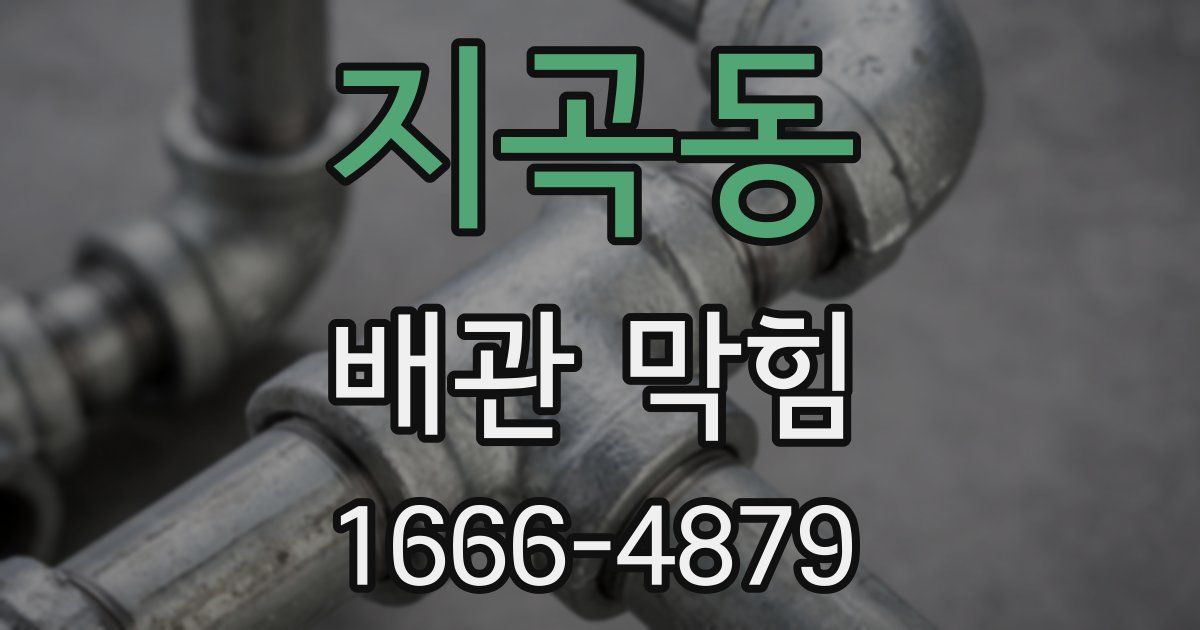지곡동 배관 막힘