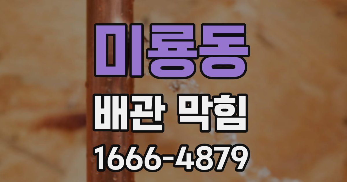 미룡동 배관 막힘