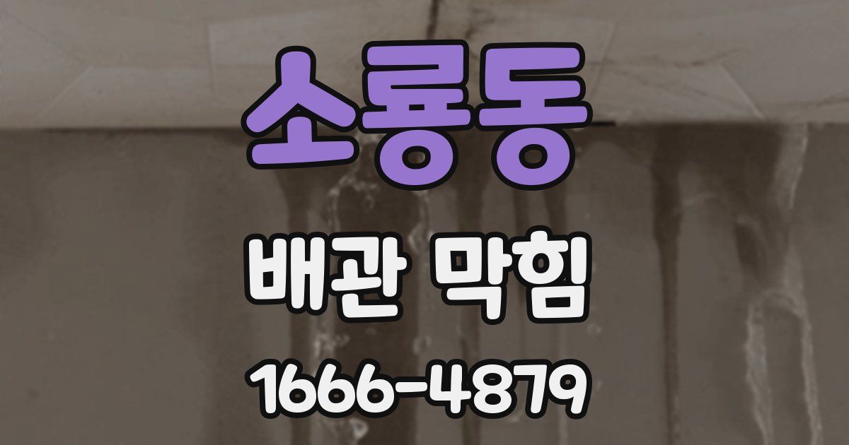 소룡동 배관 막힘