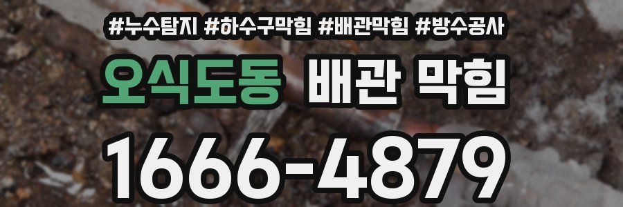 오식도동 배관 막힘