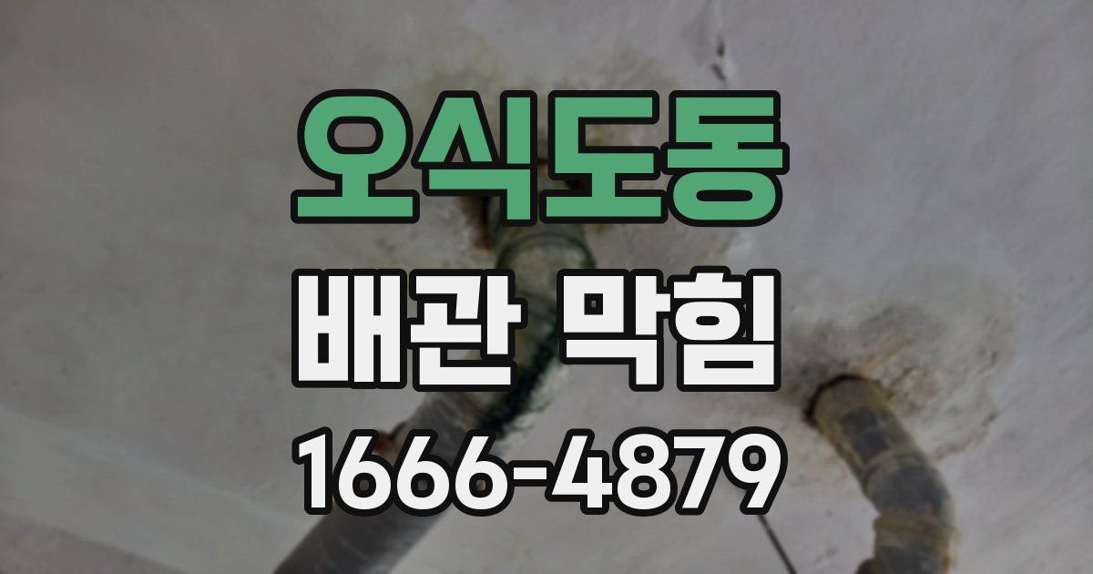 오식도동 배관 막힘