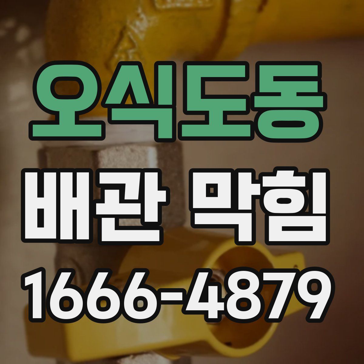 오식도동 배관 막힘