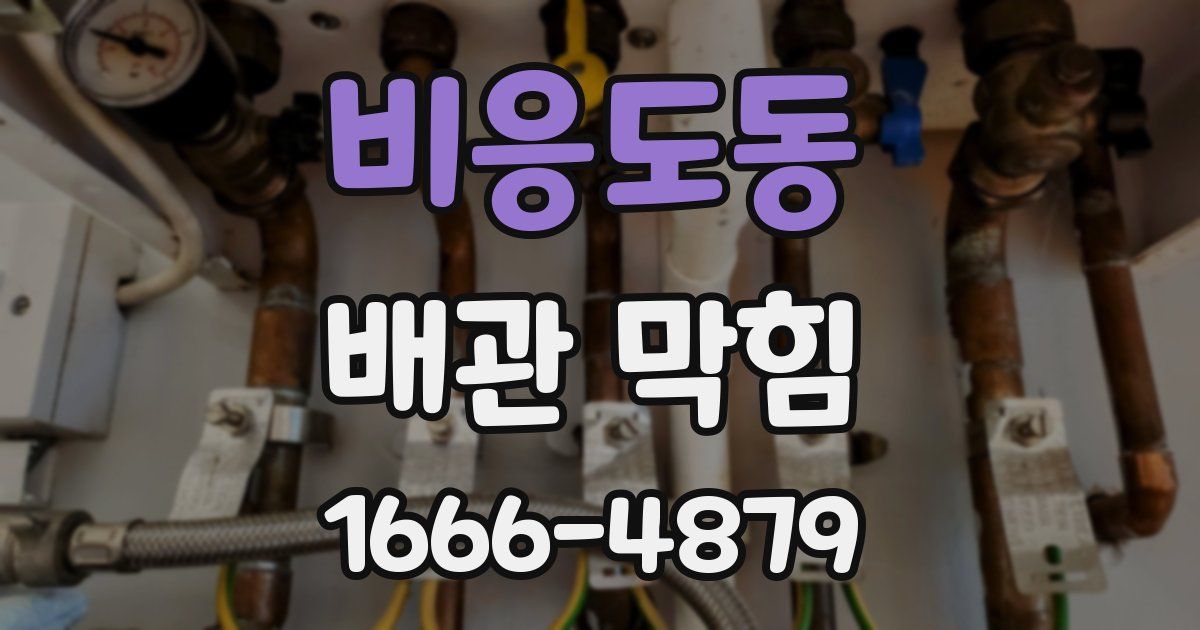비응도동 배관 막힘