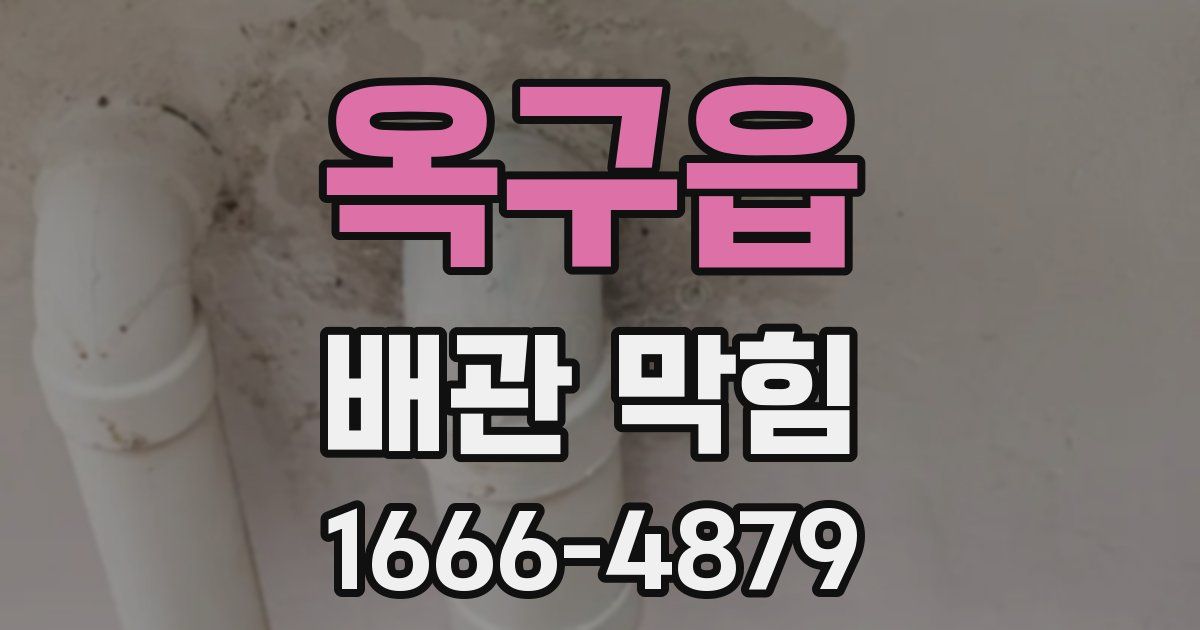 옥구읍 배관 막힘