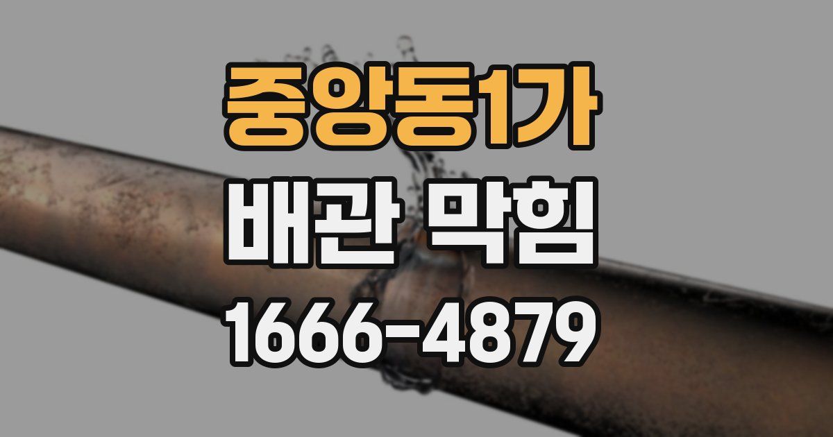 중앙동1가 배관 막힘