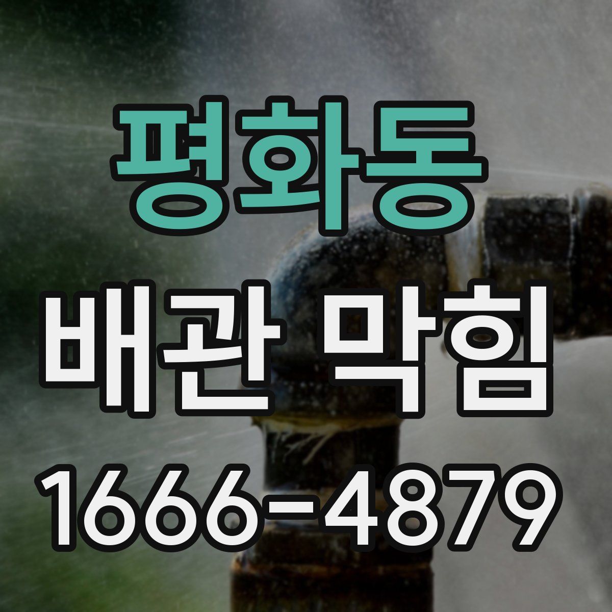 평화동 배관 막힘