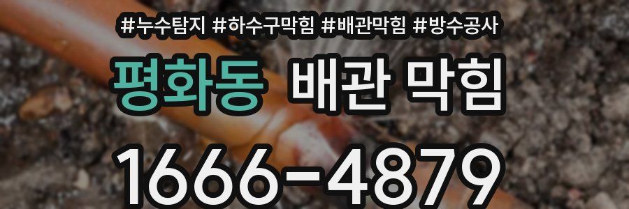 평화동 배관 막힘