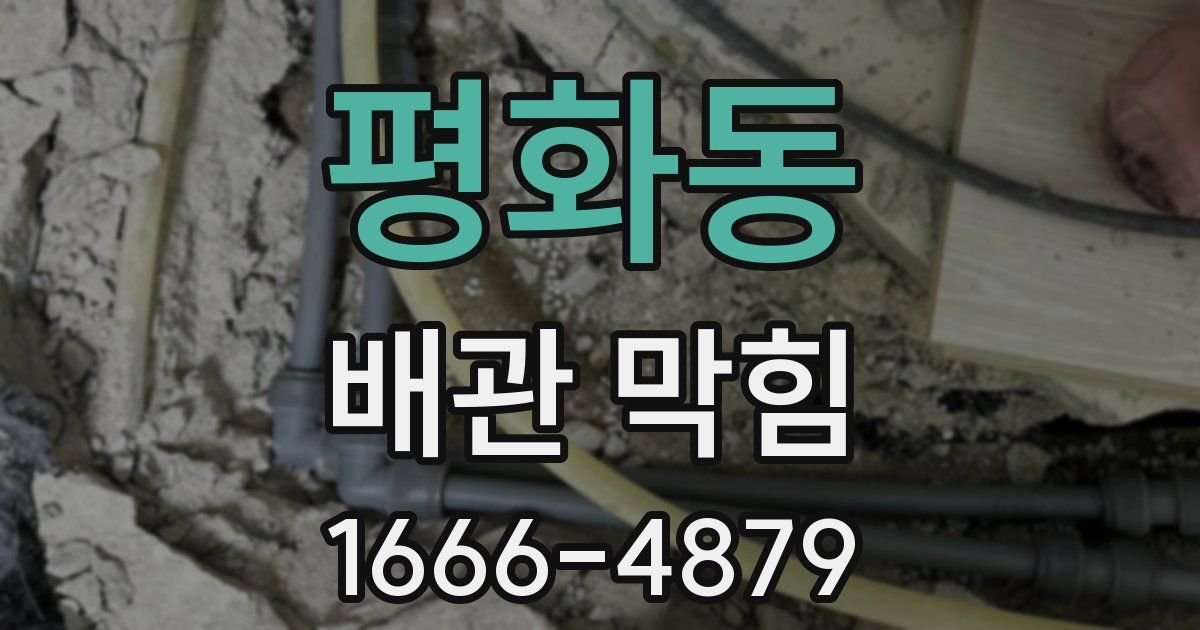 평화동 배관 막힘