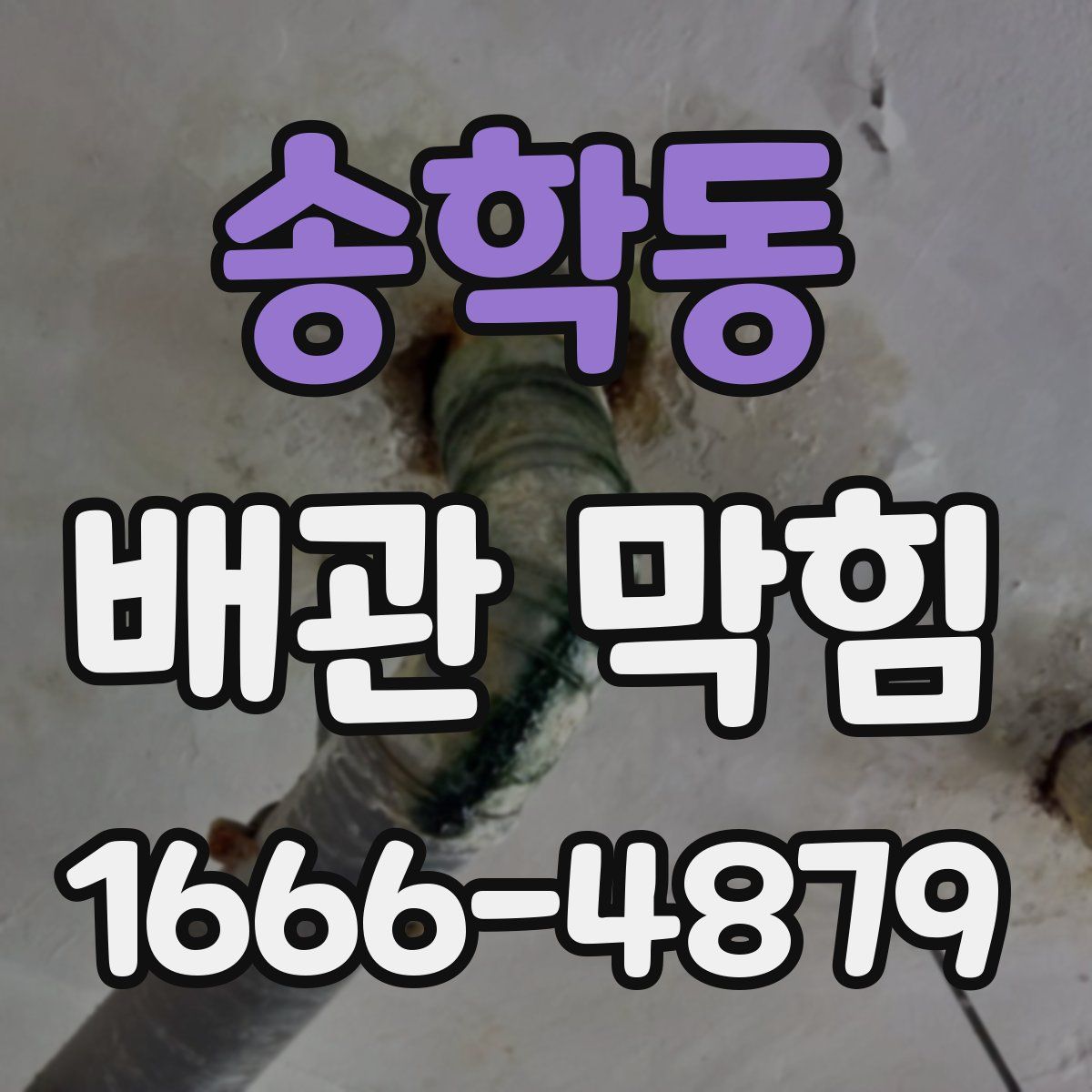 송학동 배관 막힘