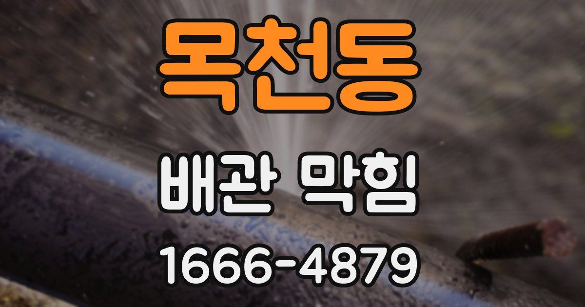 목천동 배관 막힘