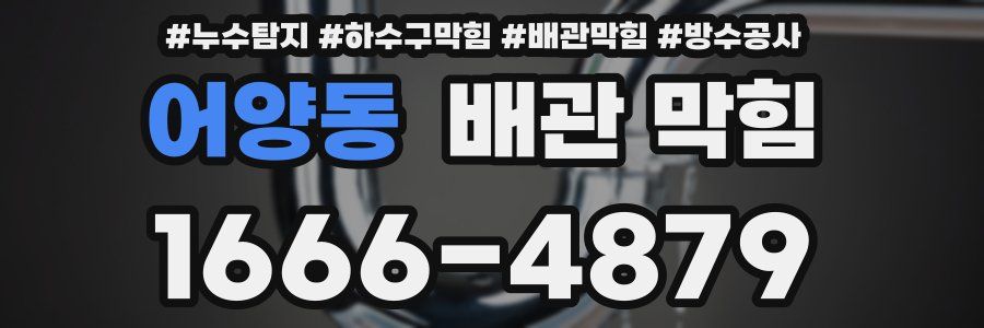 어양동 배관 막힘