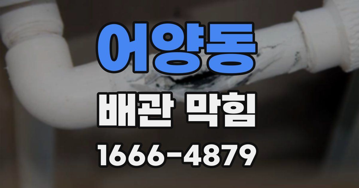 어양동 배관 막힘