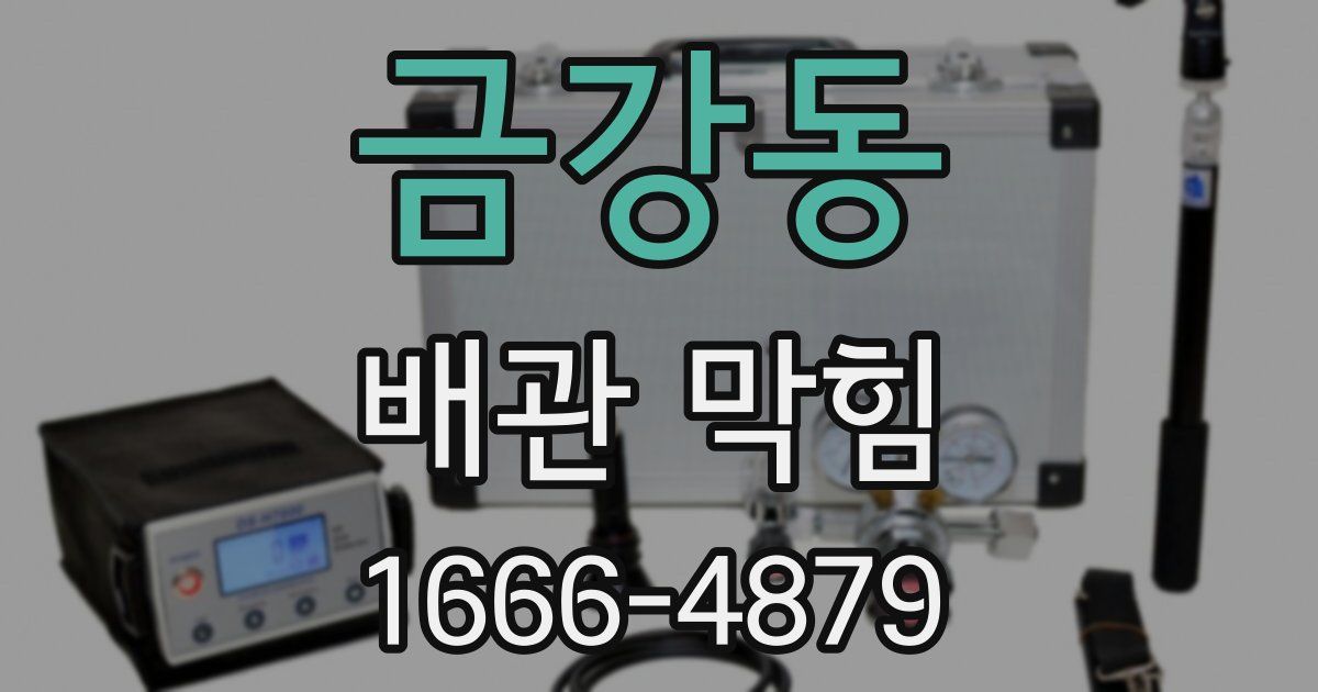 금강동 배관 막힘
