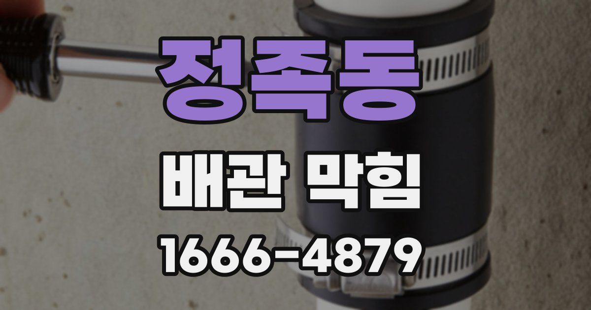 정족동 배관 막힘