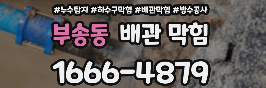 부송동 배관 막힘