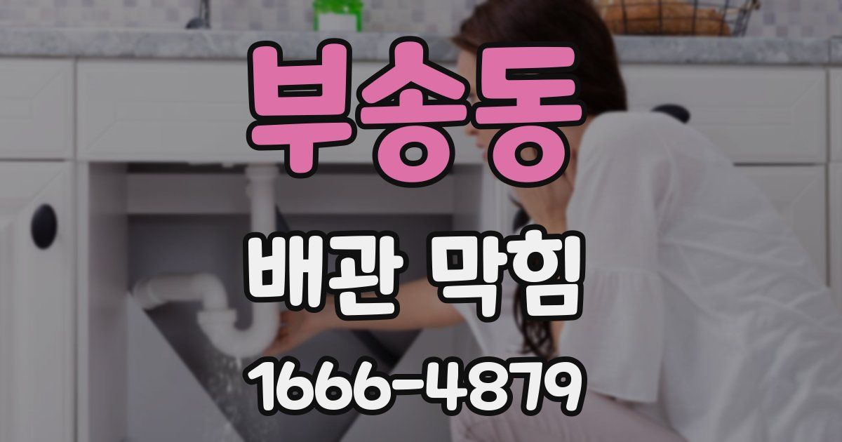 부송동 배관 막힘