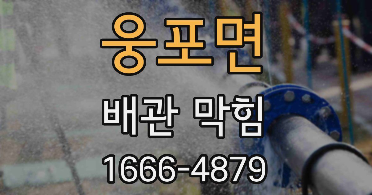 웅포면 배관 막힘