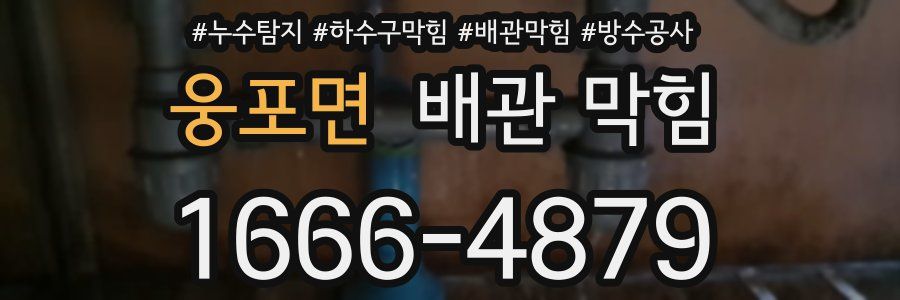 웅포면 배관 막힘