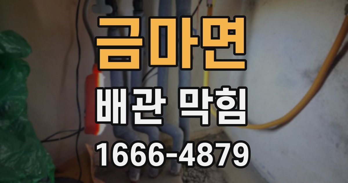 금마면 배관 막힘