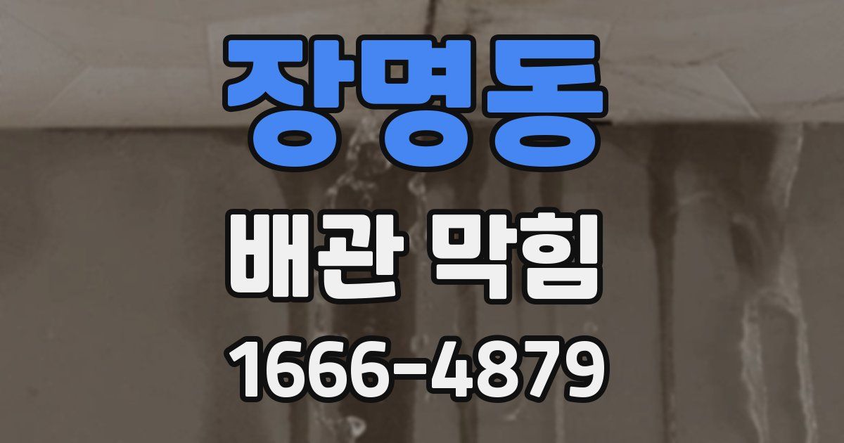 장명동 배관 막힘