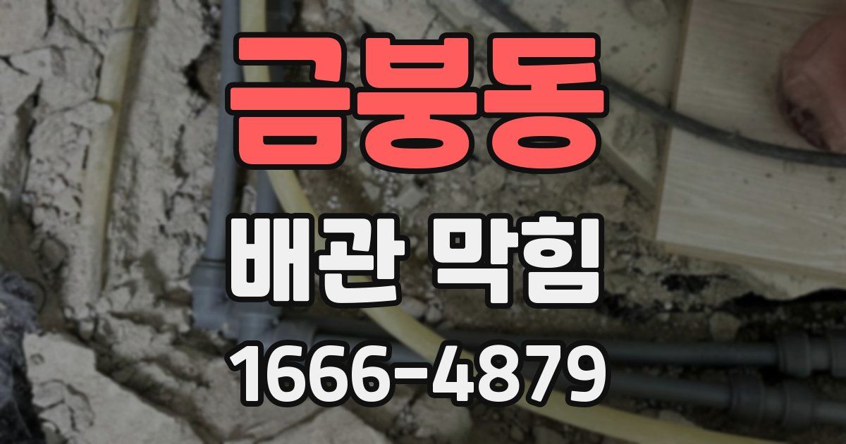금붕동 배관 막힘