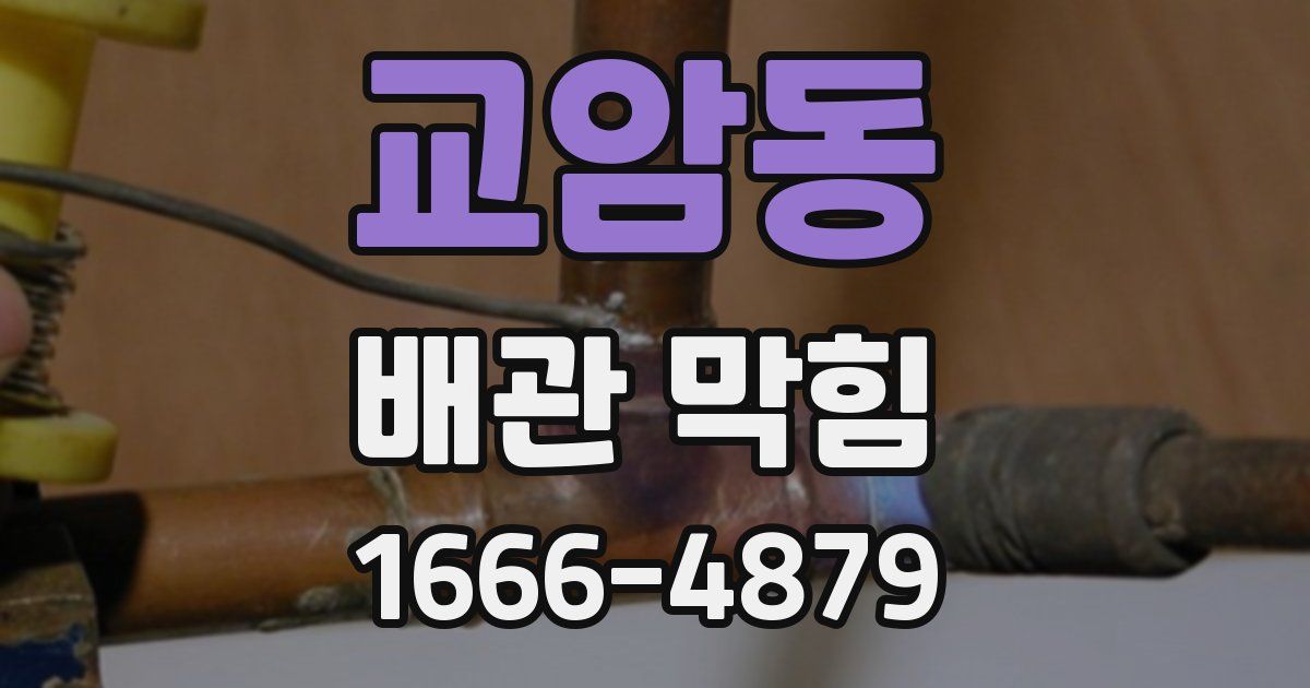 교암동 배관 막힘