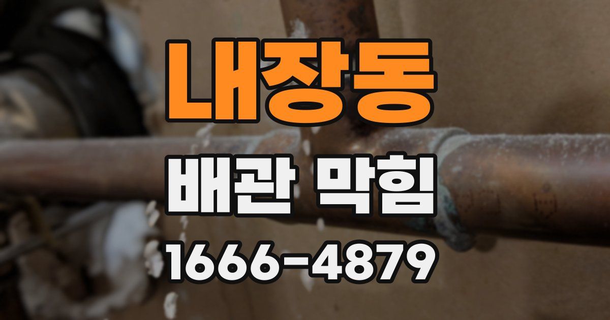 내장동 배관 막힘