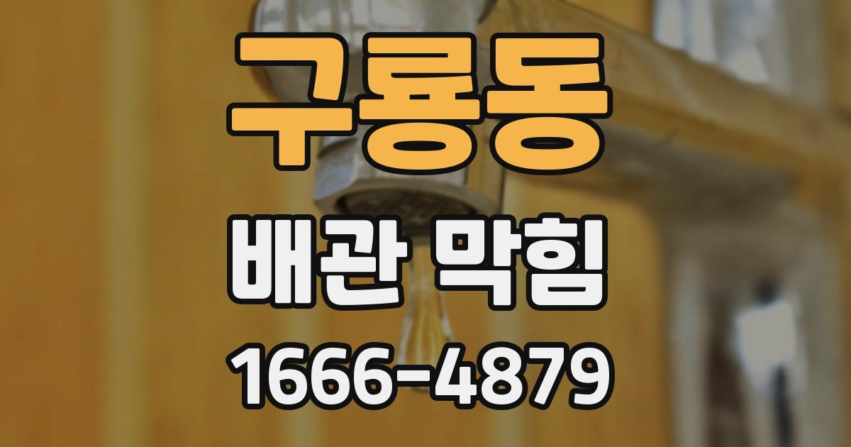 구룡동 배관 막힘