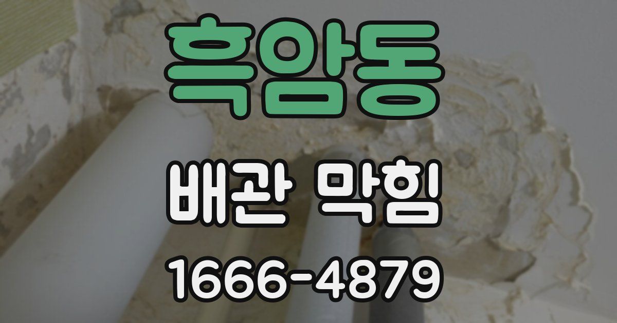 흑암동 배관 막힘