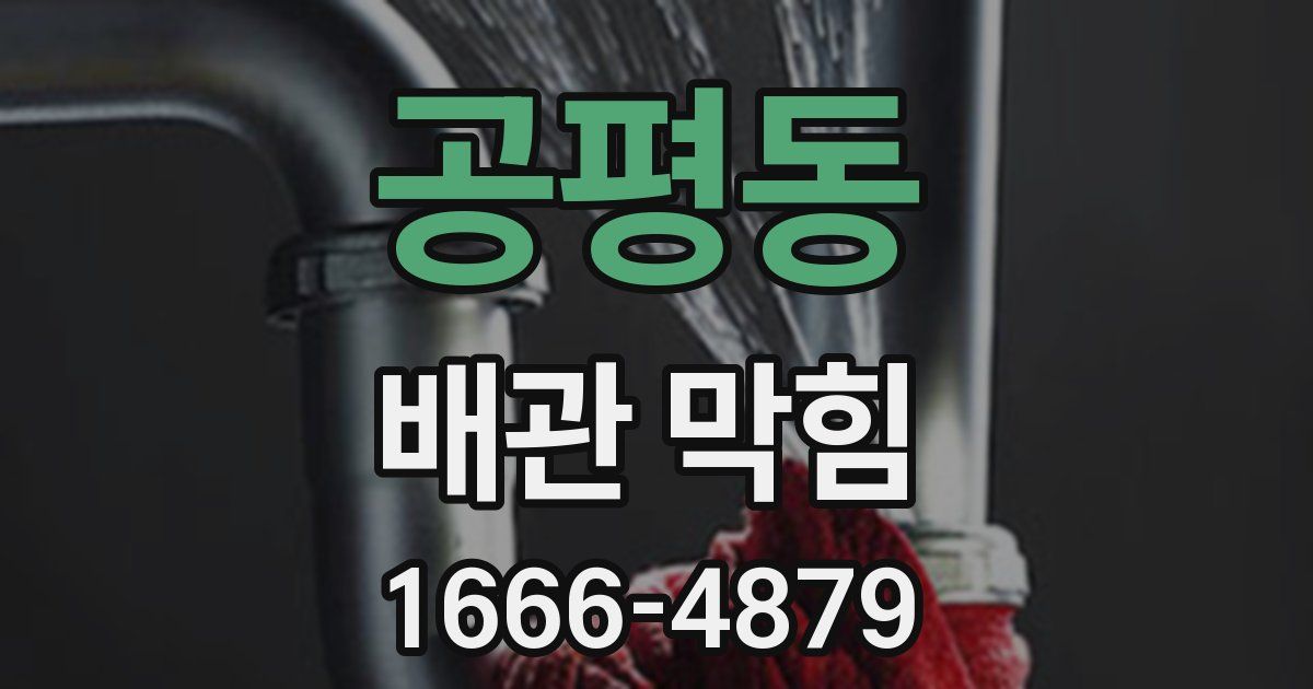 공평동 배관 막힘