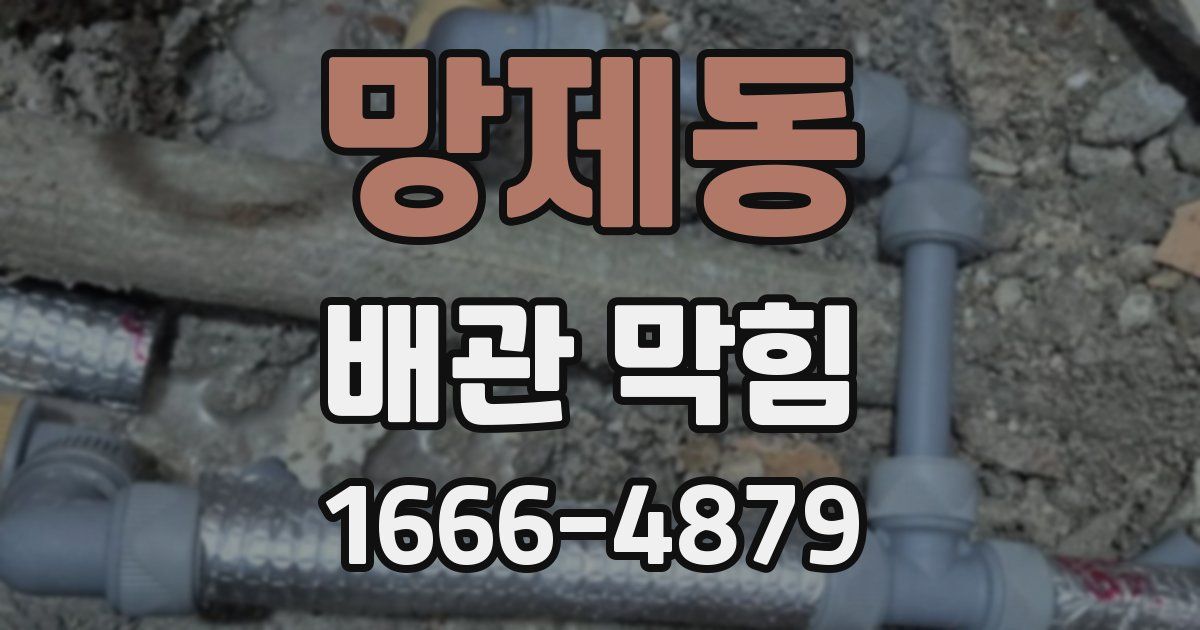 망제동 배관 막힘