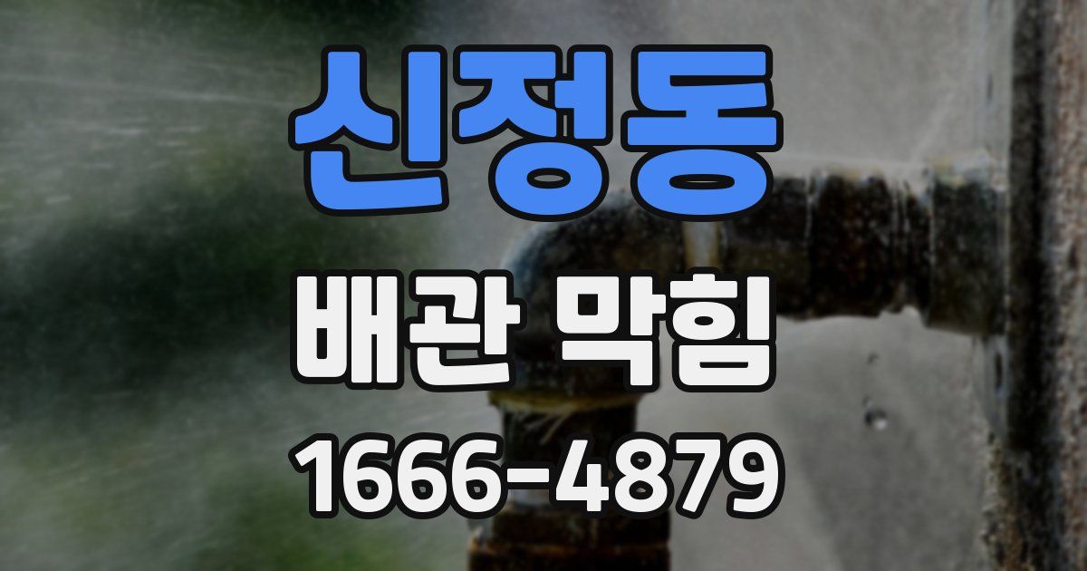 신정동 배관 막힘