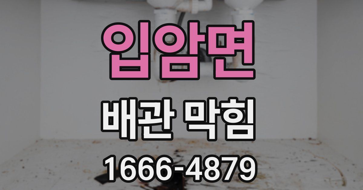 입암면 배관 막힘
