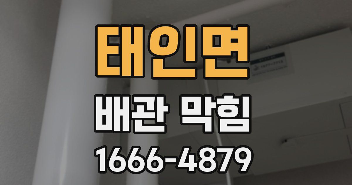 태인면 배관 막힘
