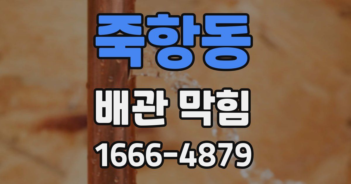 죽항동 배관 막힘