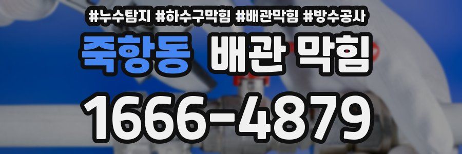 죽항동 배관 막힘