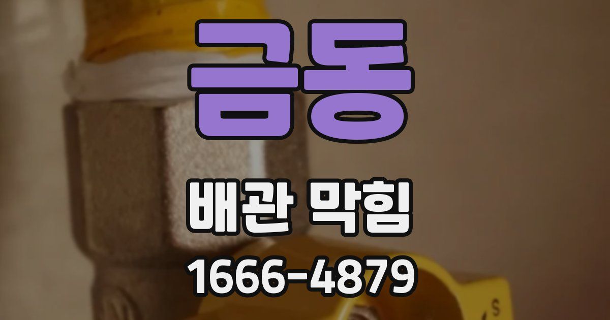 금동 배관 막힘