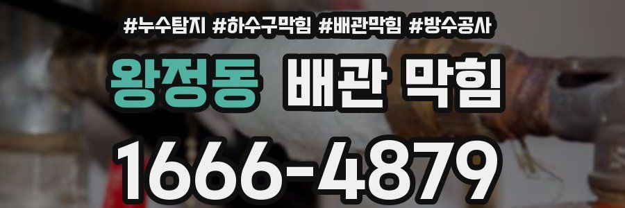 왕정동 배관 막힘