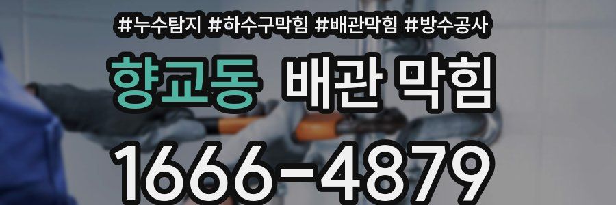 향교동 배관 막힘