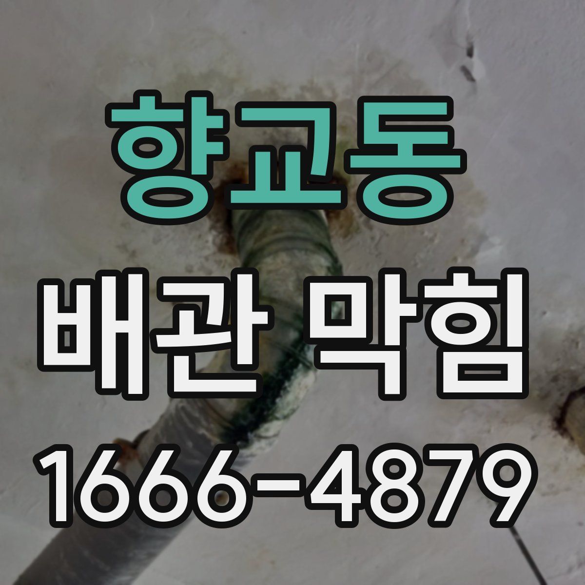 향교동 배관 막힘