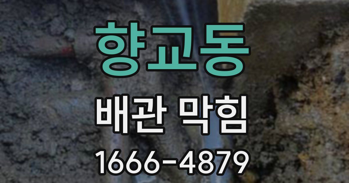 향교동 배관 막힘