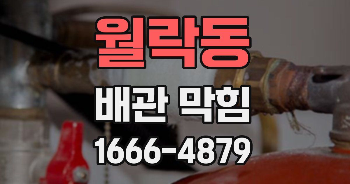월락동 배관 막힘